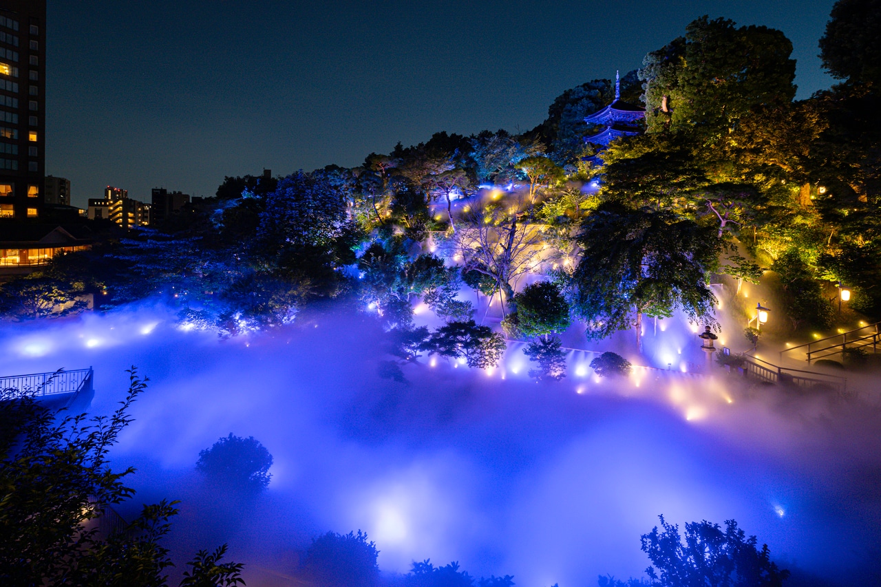 夜には雲海が鮮やかにライトアップ。撮影：杉山拓也