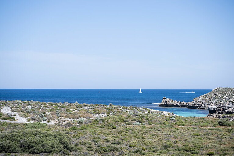 ビーチ付近には低めの木が茂る。