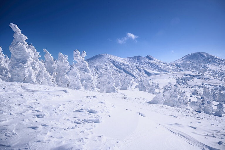 樹氷で有名な八甲田山までシャトルバスで簡単にアクセス。