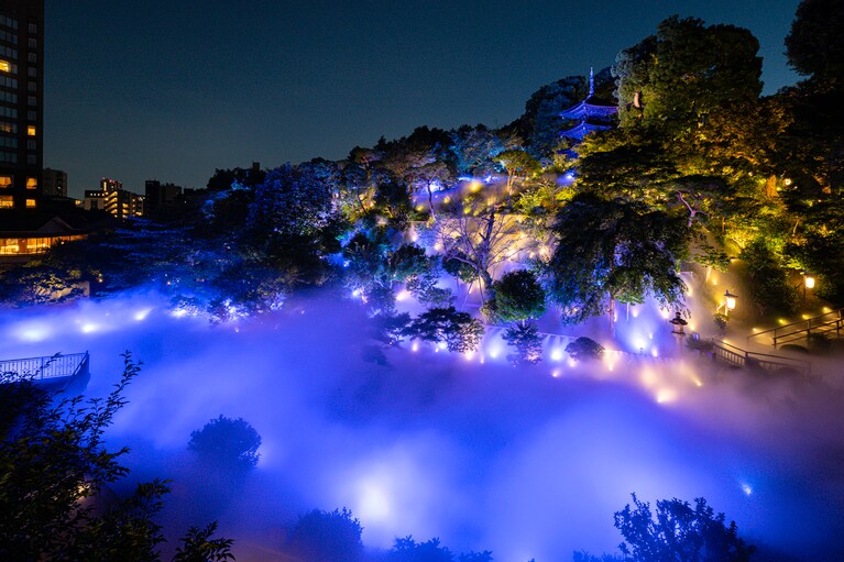 夜には雲海が鮮やかにライトアップ。撮影：杉山拓也