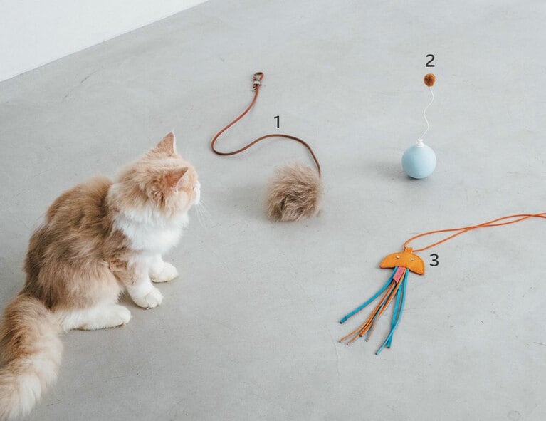 1：MiaCaraのTopo 猫じゃらし。7,260円／HEARTH 
2：pidanのペット用電動おもちゃ。2,200円／pidan 
3：CHESHIRE ＆ WAINの猫じゃらし。7,700円／HEARTH