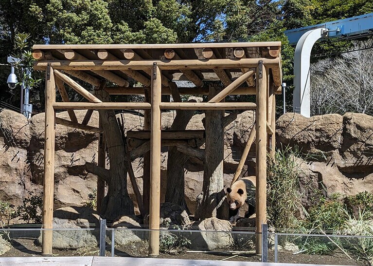 従来からあるやぐらを覆うように、新しいやぐらが設置された。2024年3月27日（水）撮影。