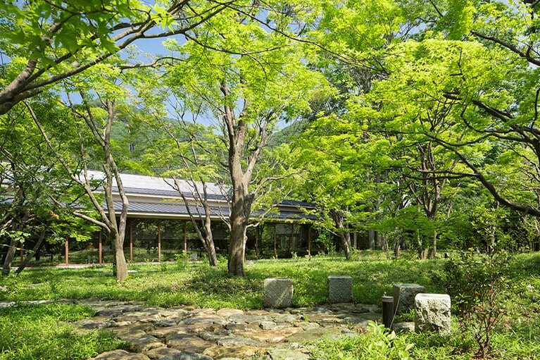 施設の中心には、四季折々の表情を見せる中庭が広がる。