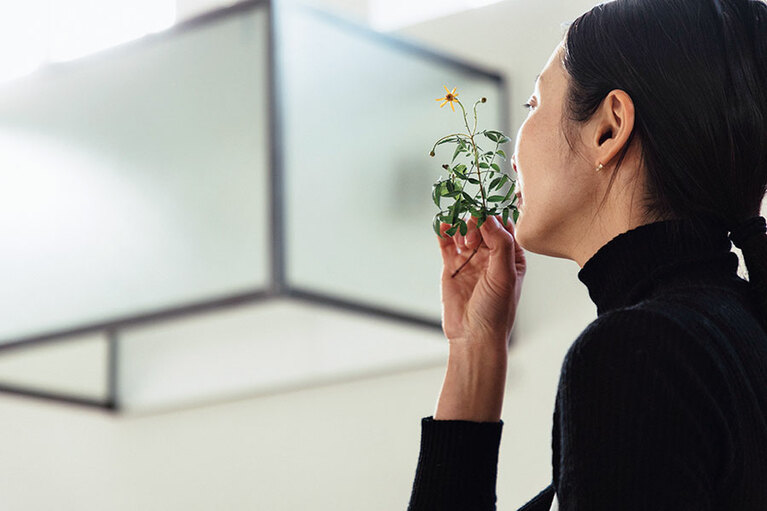 お菓子やハーブティーに使うハーブは長田さんが友人と営む畑「inhere farm & garden」で育て、収穫したもの。