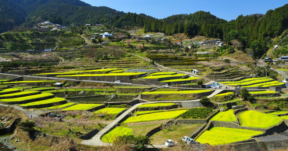 【2021年版】 いつか行きたい！ 日本の春の絶景 美しすぎる“棚田・田園風景”8選 | 今こそ行きたい！ 「日本にしかない風景」再発見
