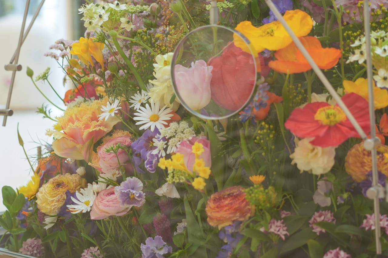 花の新たな表情を見つけて。
