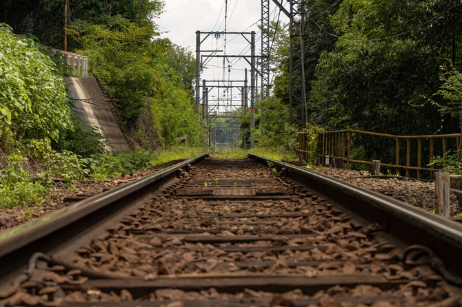 写真はイメージです。写真:planas/イメージマート