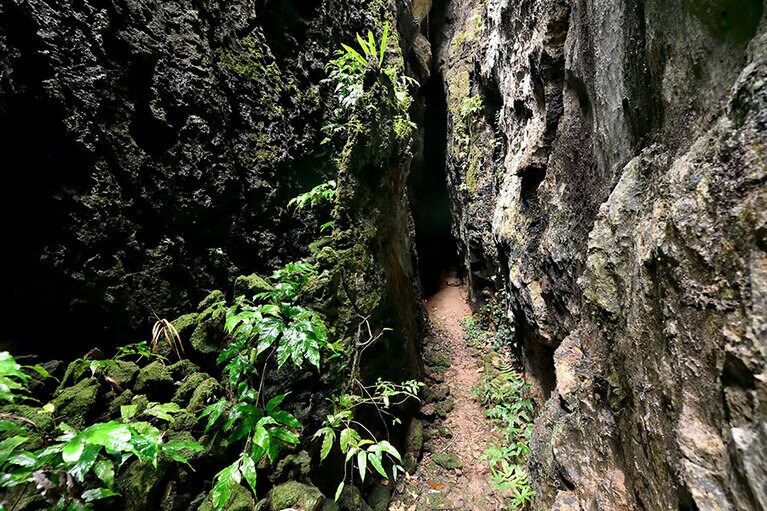 バリバリ岩。ここに至るまでで、すっかり探検家気分。