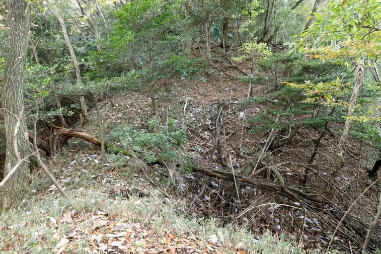 左端は削り残されたような形状