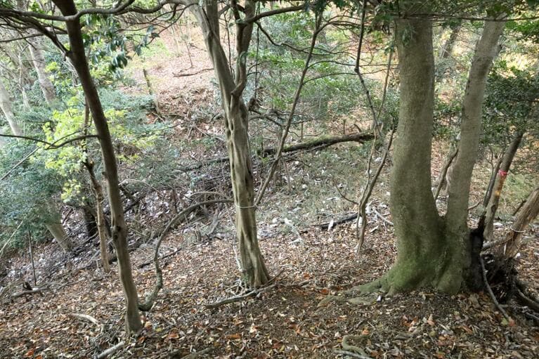 この堀切は両端までしっかり削ってある