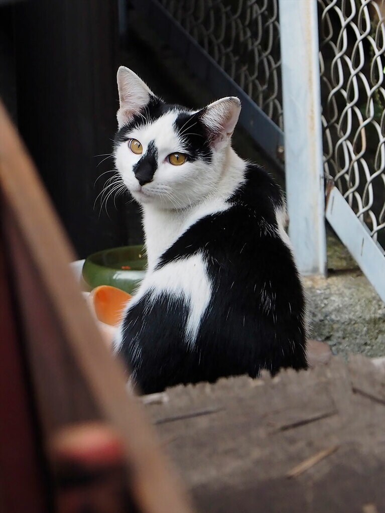 なんかの記号みたい！