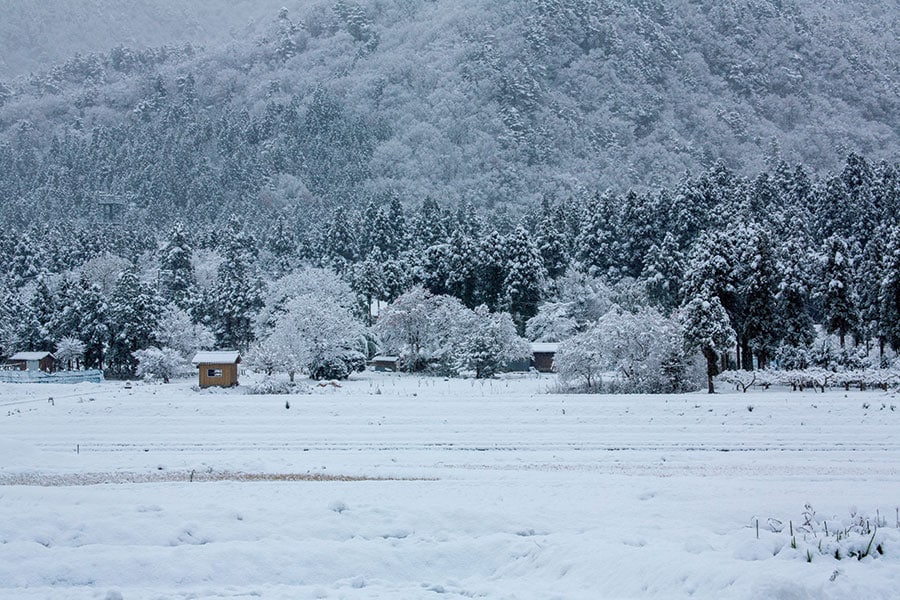 【ふるさとがしのばれる宿 角屋旅館】秋は稲穂で黄金色に染まる田んぼが、冬になると雪で湖のような景色に一変する。