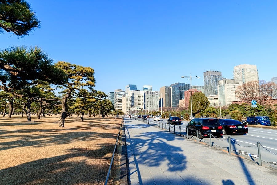 桜田門を抜けると、ガラッと景色が変わり、左手に松林、右手にビル街を望むフラットな道が続く。