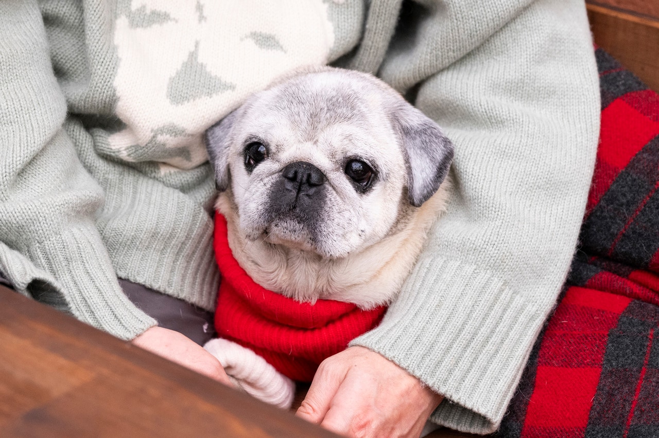 今日も元気でなにより！