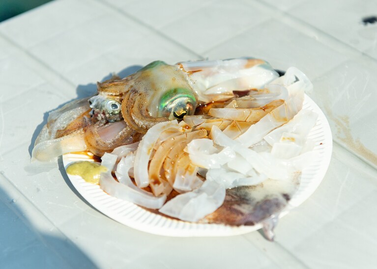 合間に松本さんがサービスしてくれた新鮮なアオリイカの刺身。甘さに感動！