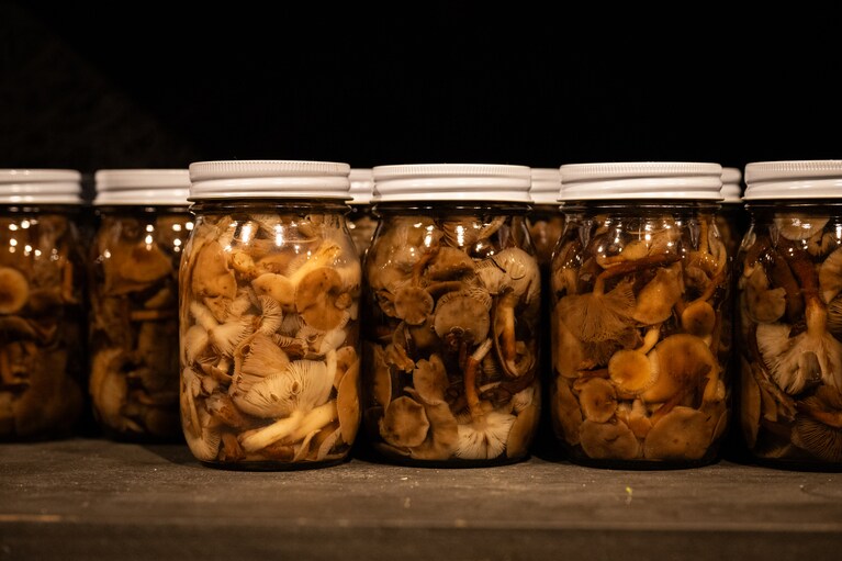 秋に収穫したナラタケは茹でてゴミを取り、真空の瓶で保存。