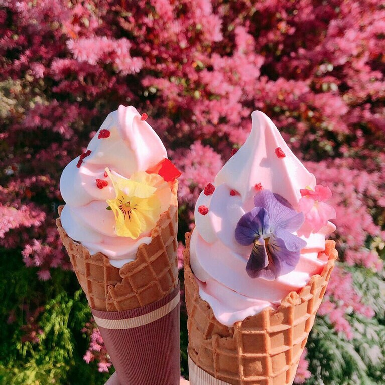 フラワーソフト 550円。