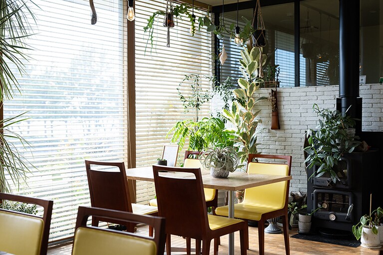 黄色を利かせた店内は、緑が多くさまざまな植物がのびのび。ぶどうの木もあり、ゆくゆくはワイン造りをと構想中。
