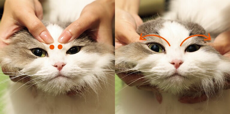 （1）目頭から目尻をゆっくり撫でる。