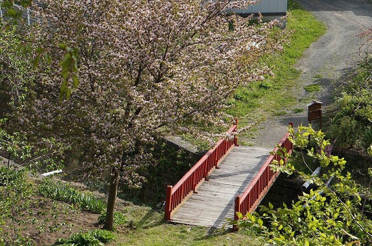 宿から歩いてすぐの清流、長川。夏にはホタルも見られる。