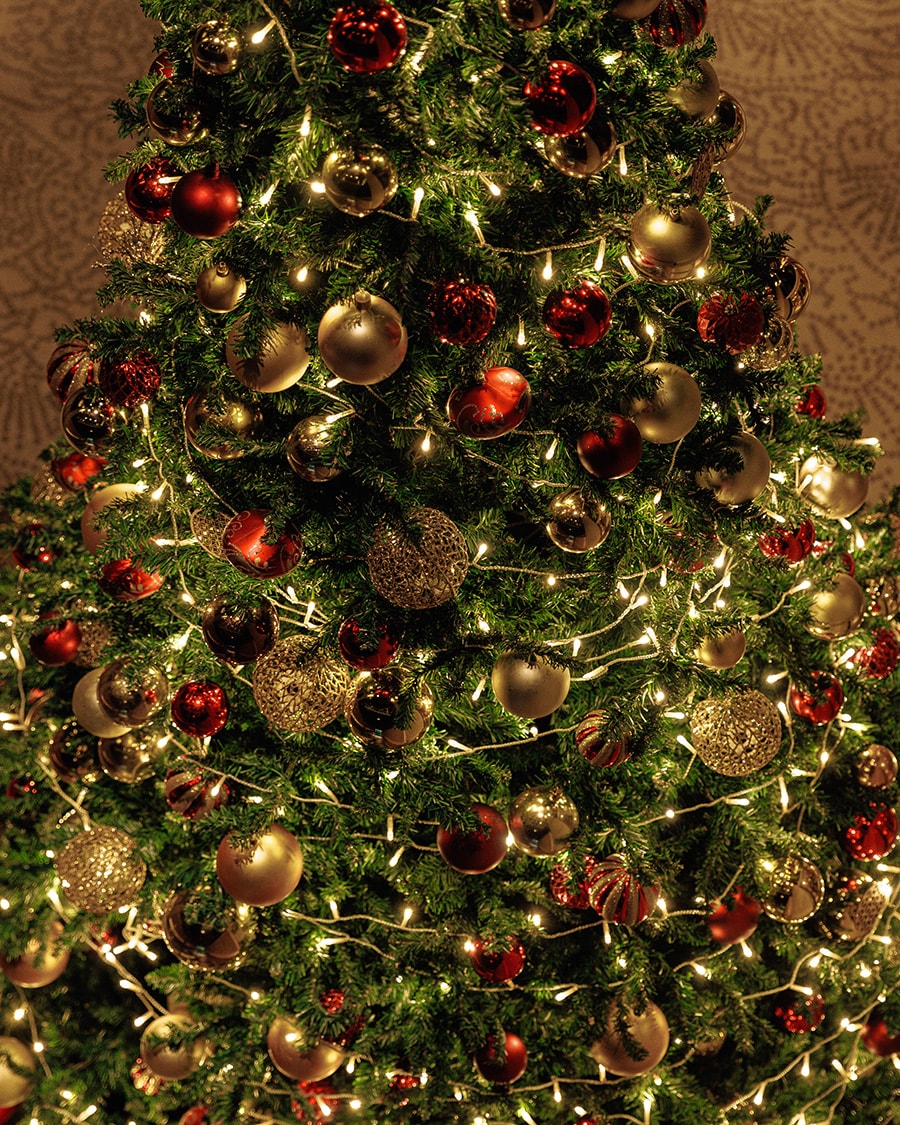 地下1階のクリスマスツリー。