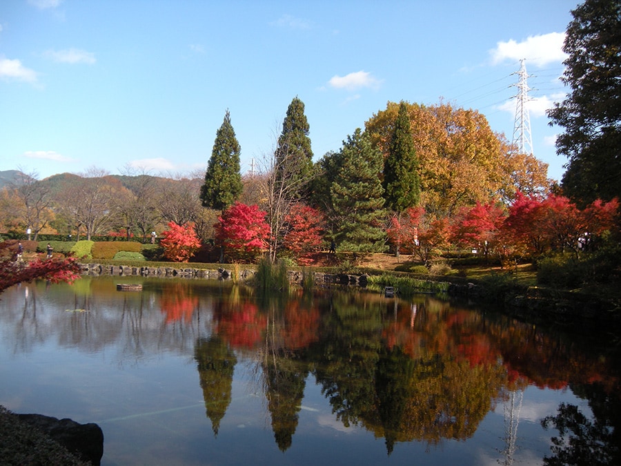 【大分県】いいちこ日田蒸留所。