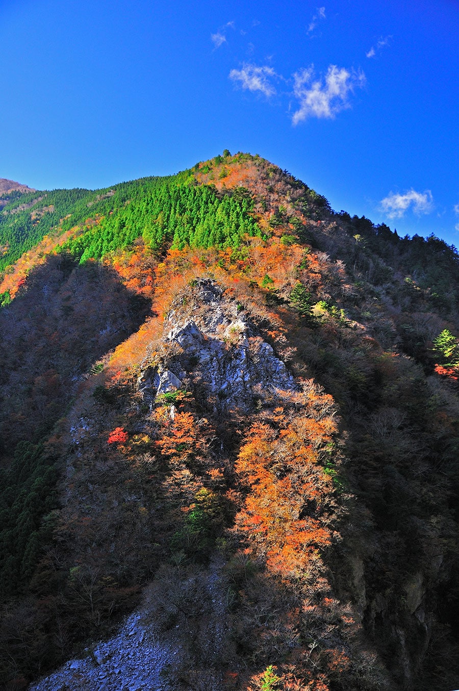 高の瀬峡の紅葉。