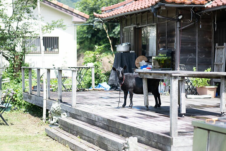 お店の入り口で、看板娘のめいちゃんがお出迎え。