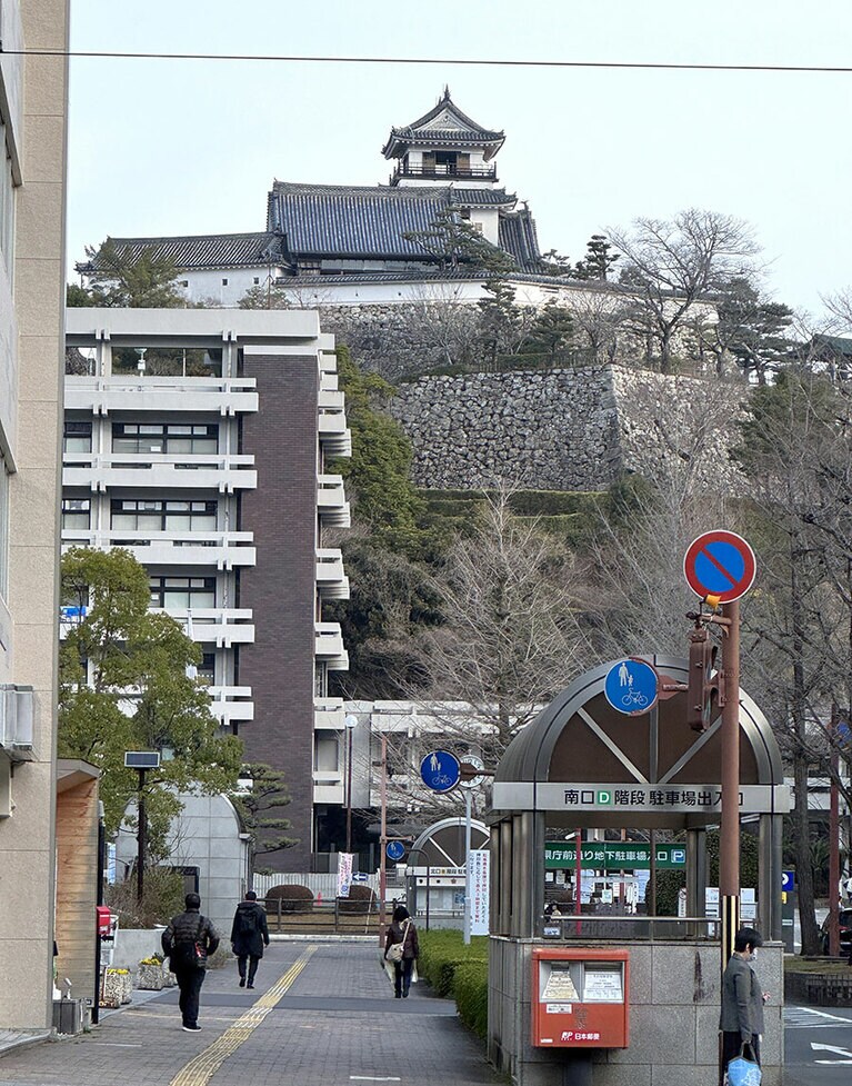 高知城のお膝元に県庁があり、その前の通りに市が立つ。