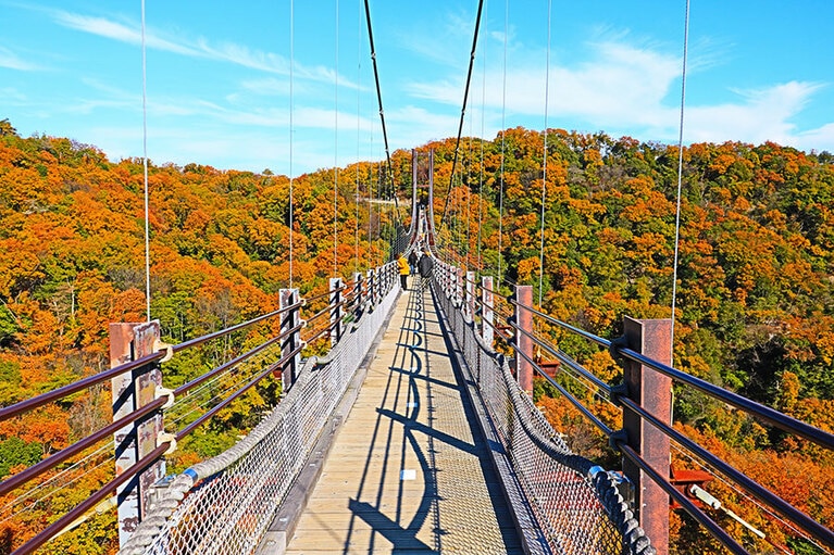 ほしだ園地・星のブランコの紅葉。