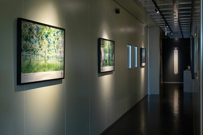 MGVsワイナリー（山梨県甲州市勝沼町等々力601−17）