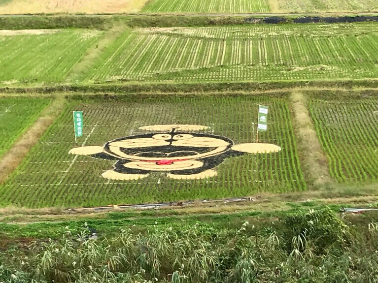 【新潟県】もみがらアート。