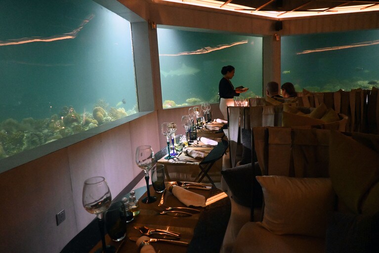 ロマンティックなディナータイム。