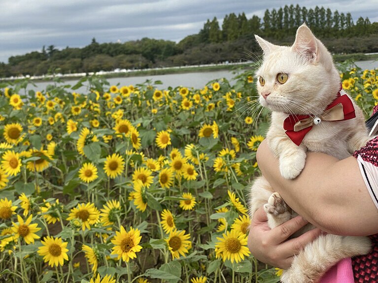 もも ♀ 1歳6ヶ月歳。