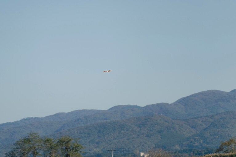 佐渡・宿根木に残る原風景に魅せられて。俳優・工藤阿須加さんと江戸時代にタイムスリップ【通いたくなる島、佐渡】