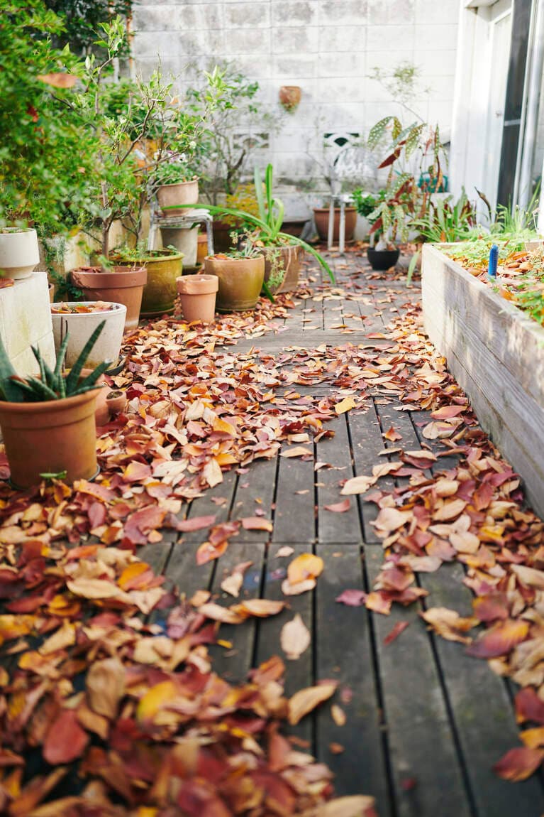 「好き」の詰まったベランダ。秋は、あえて落ち葉を掃除しない。