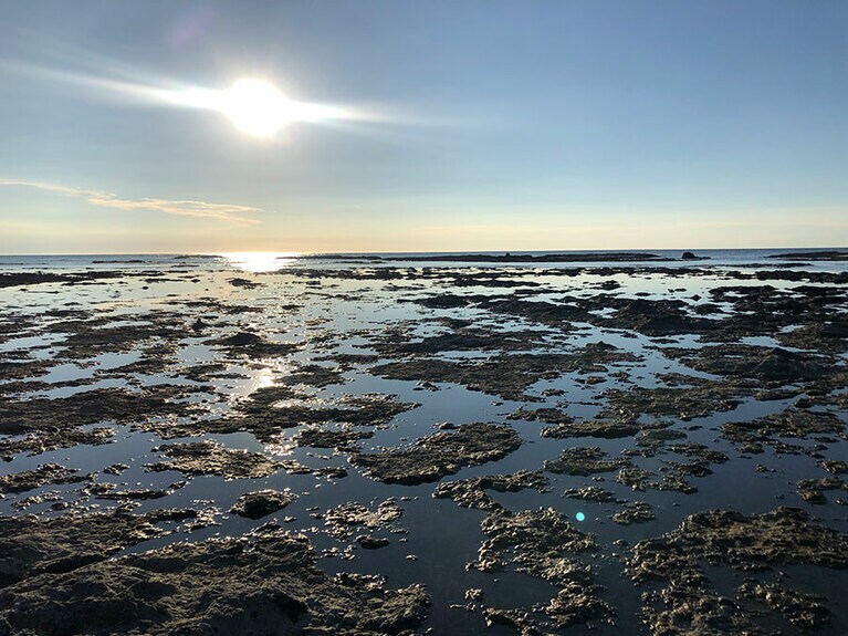 沢崎海岸の万畳敷。