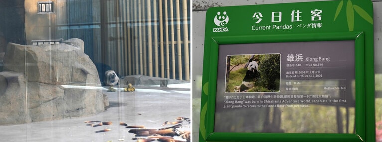 「星漢館」の屋内にいた雄浜とネームプレート。2025年4月30日（水）。