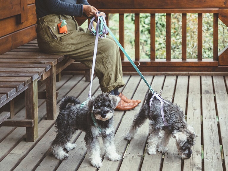 1：マナーバッグホルダー 7,000円、コンポストPoopバッグ15袋×8ロール入り 2,500円、2：マカロンリード 5,000円、3：マカロンハーネス 6,000円／メゾンネロス