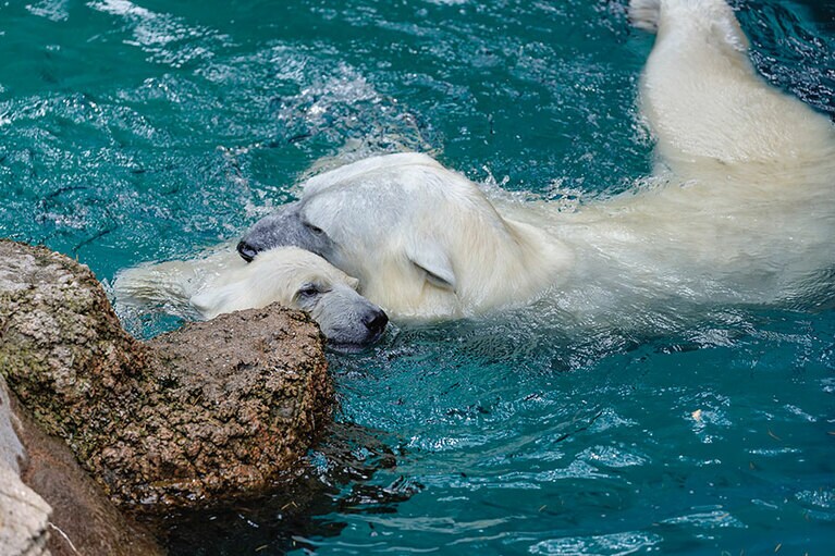 イッちゃんとライ。