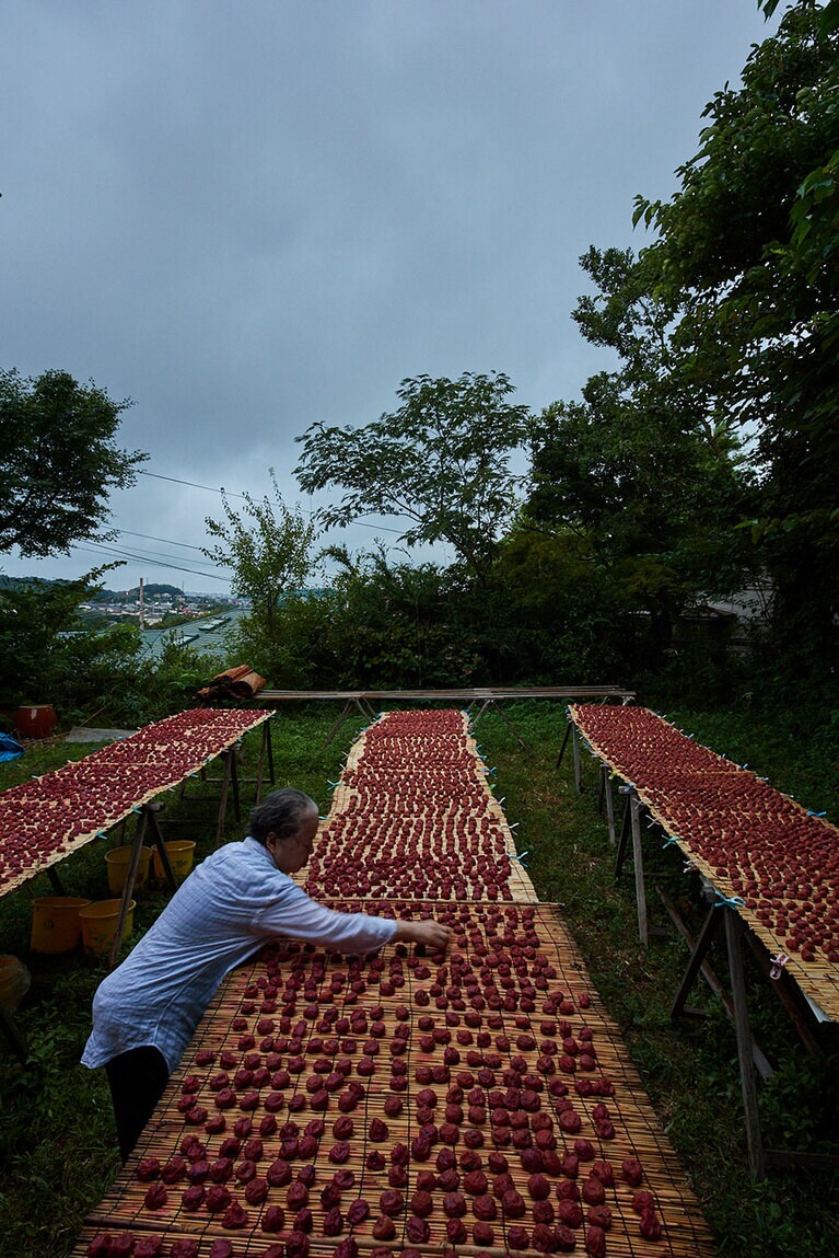 土用干しの風景。