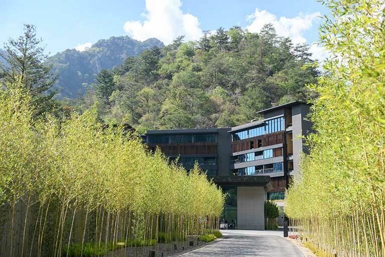 風が心地よく吹く竹林のアプローチを抜けると、モダンな建物が。
