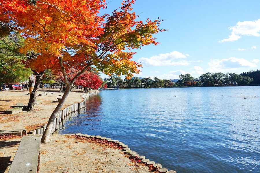 南湖公園の紅葉。