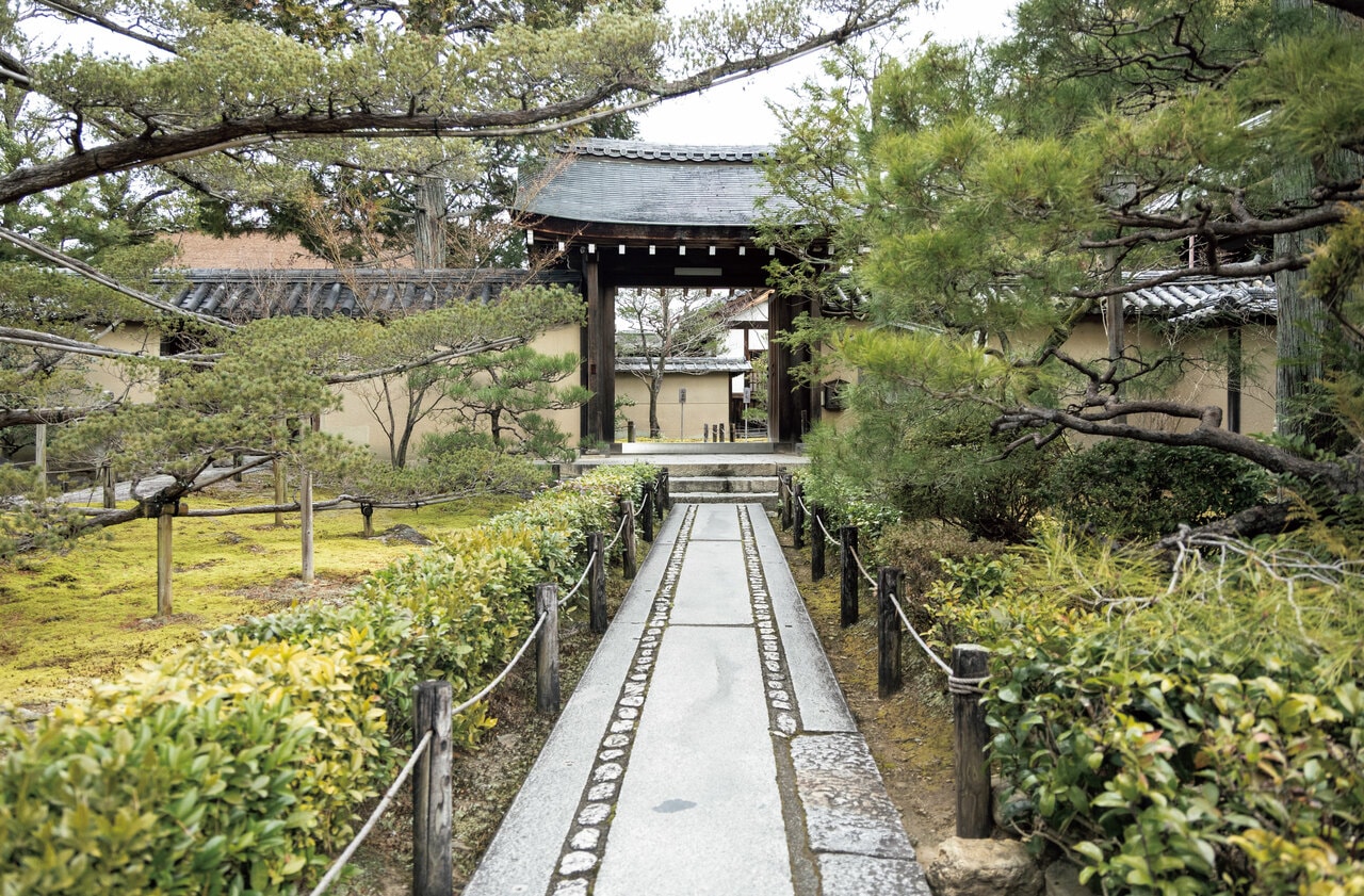 大仙院の門へ続く大徳寺内の参道。境内は広く街の喧騒とは隔絶している。