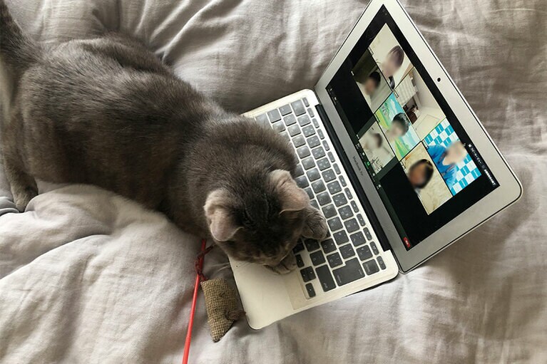 もはや映る気なし。