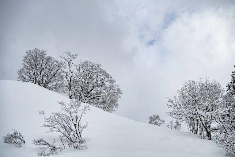 12月から4月にかけて辺りが雪に囲まれる「里山十帖」。白色の景観は清らかで風情があります。
