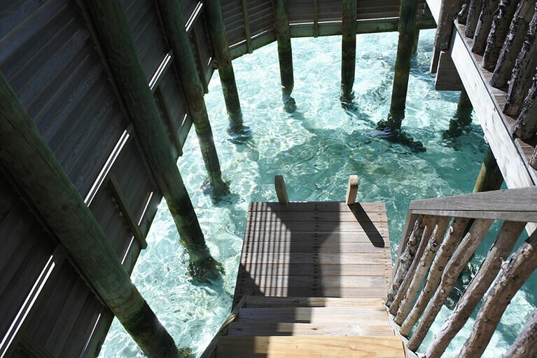 周囲から目隠しされたウォーターガーデン。