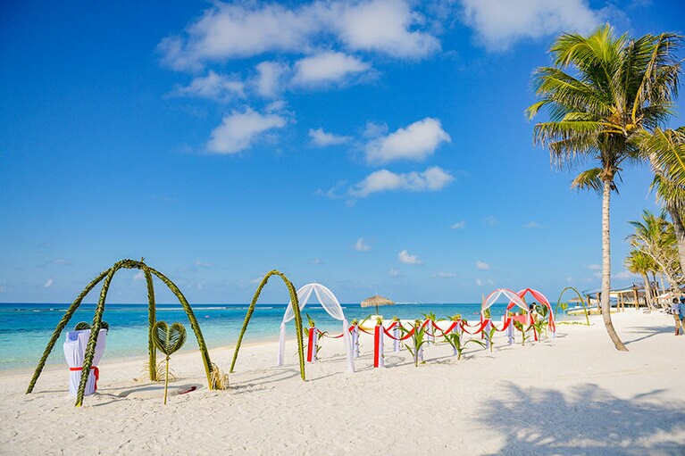 挙式のセットは南国の植物で装飾されて。