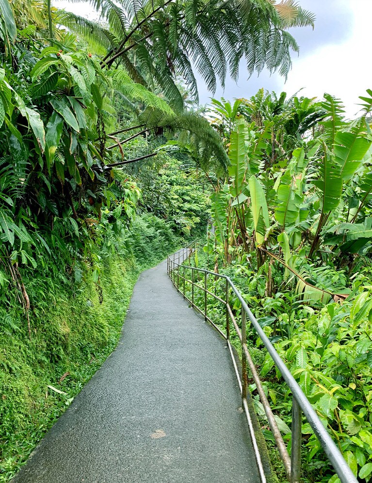 アカカ滝までのトレイルコース。
