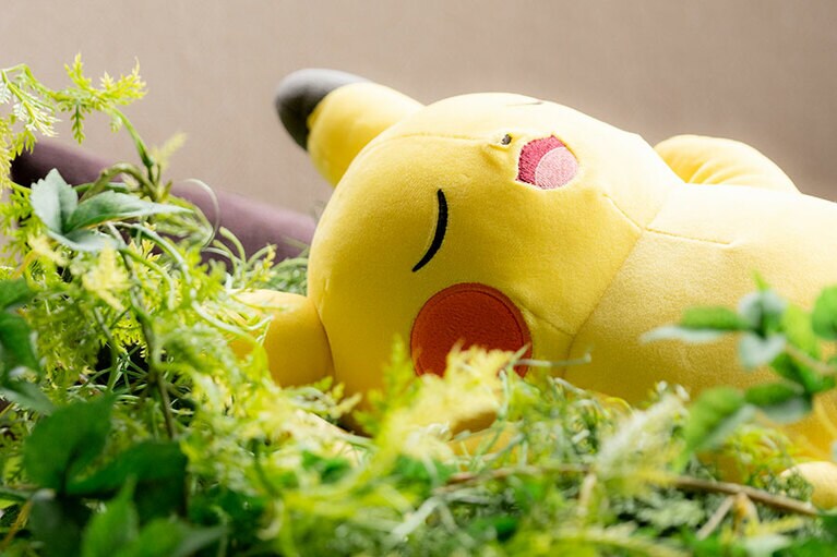 スタンダードプランのピカチュウ。熟睡ピカチュウの圧倒的かわいさ。